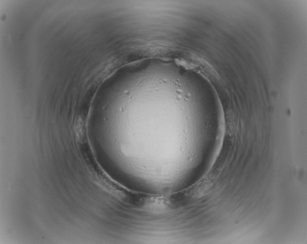 X0000072990077200608041319