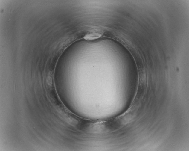 X0000072990078200608041319