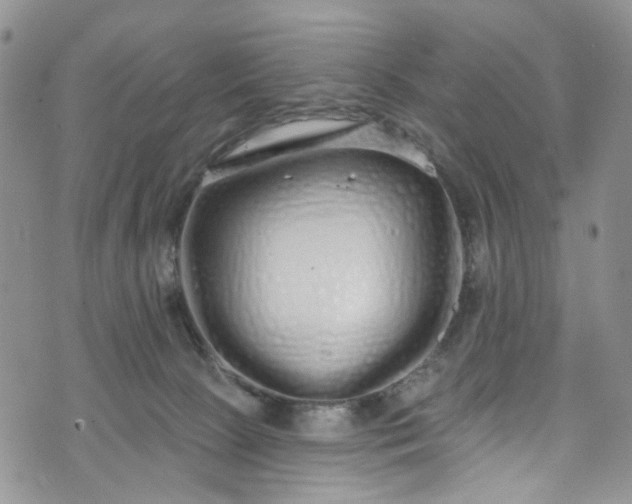 X0000072990081200608041319