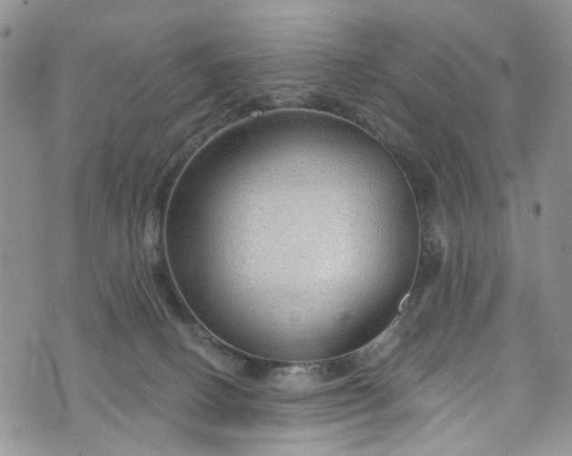 X0000072990082200608041319