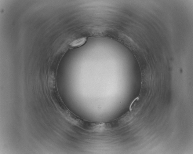 X0000072990083200608041319