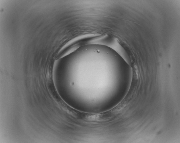 X0000072990084200608041319