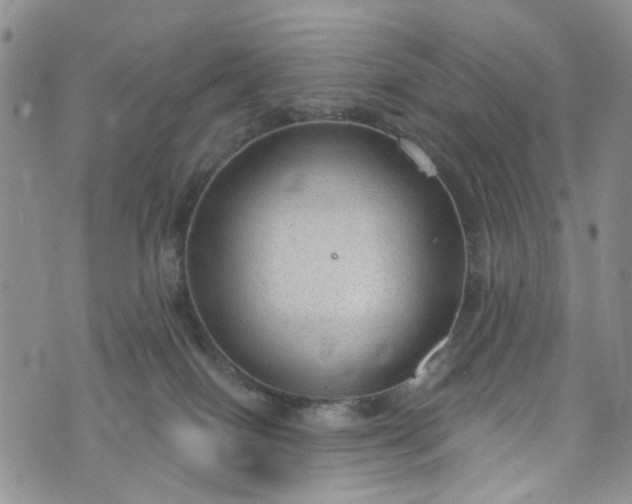 X0000072990086200608041319