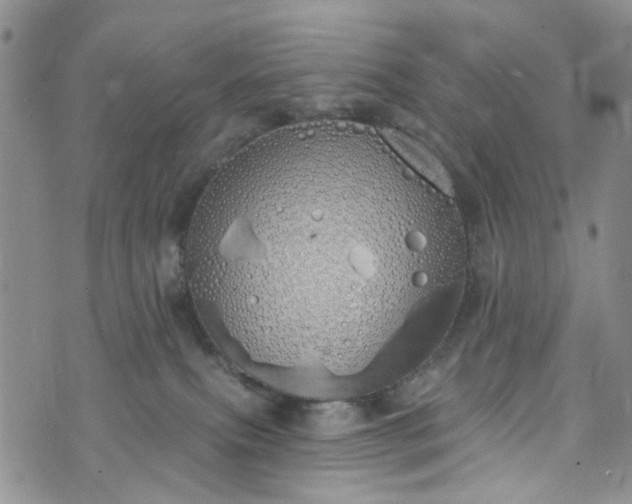 X0000072990087200608041319