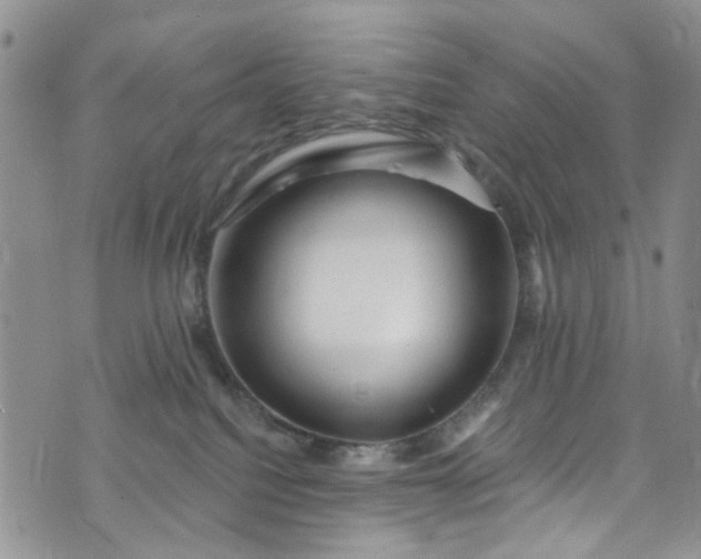 X0000072990088200608041319