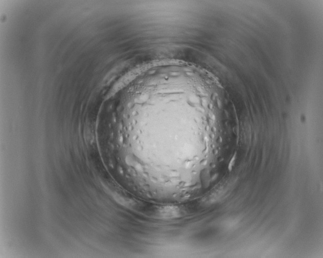 X0000072990091200608041319