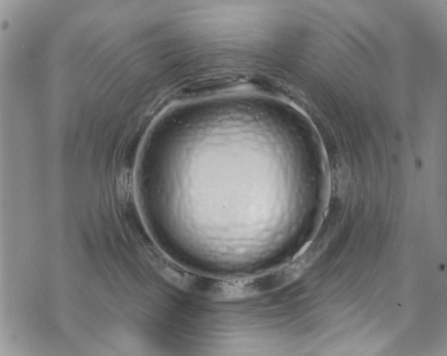 X0000072990093200608041319