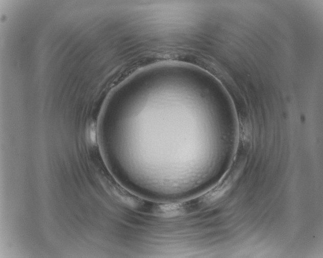 X0000072990095200608041319