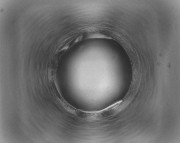 X0000072990096200608041319