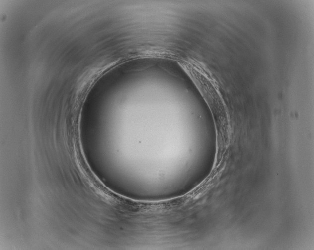 X0000072990097200608041318