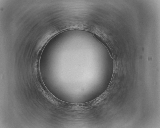 X0000072990098200608041318