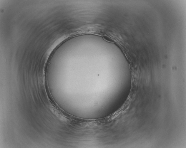 X0000072990100200608041318