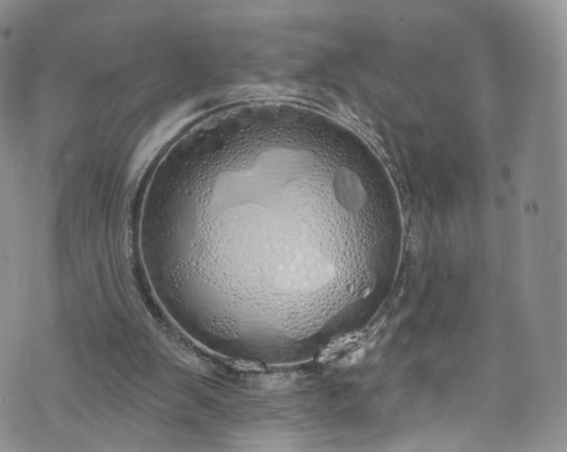 X0000072990103200608041318