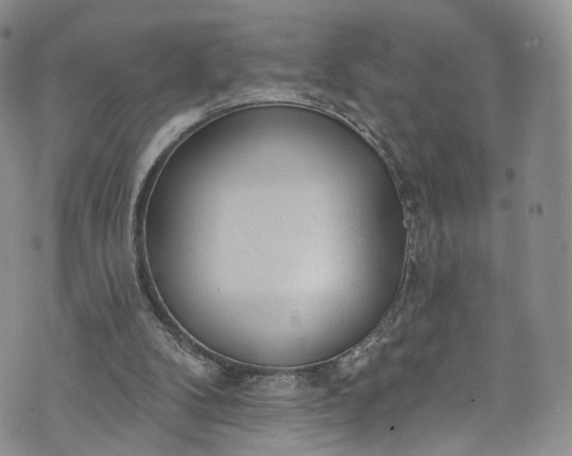 X0000072990104200608041318