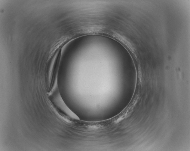 X0000072990105200608041318