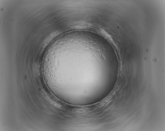 X0000072990106200608041318