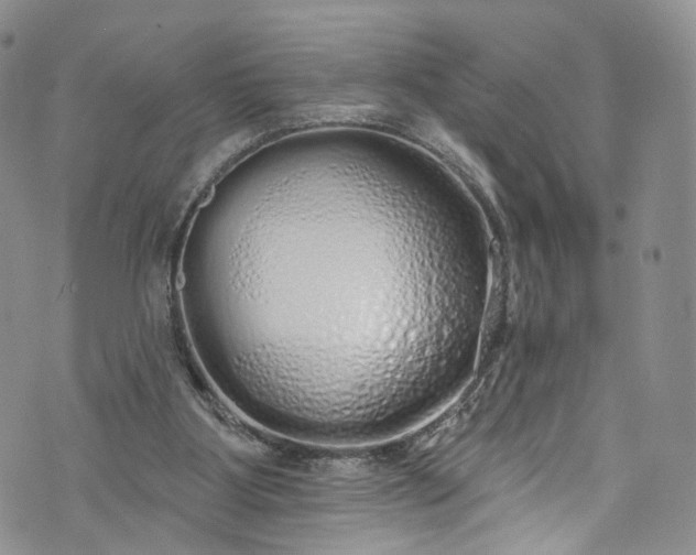 X0000072990107200608041318