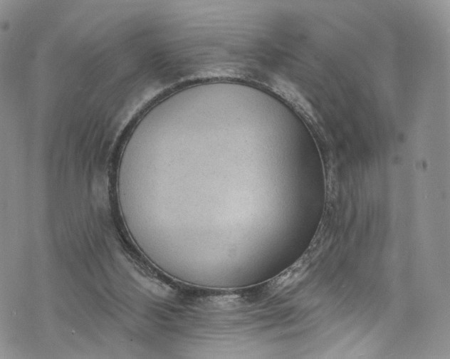 X0000072990108200608041318