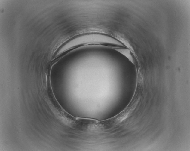 X0000072990109200608041318