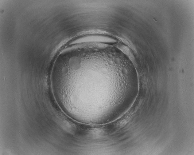 X0000072990111200608041318