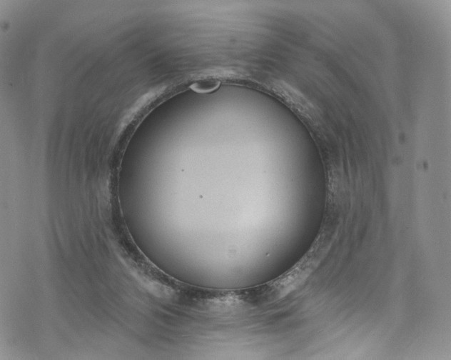 X0000072990112200608041318