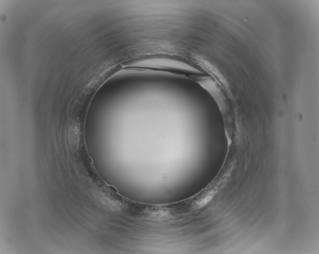 X0000072990113200608041318