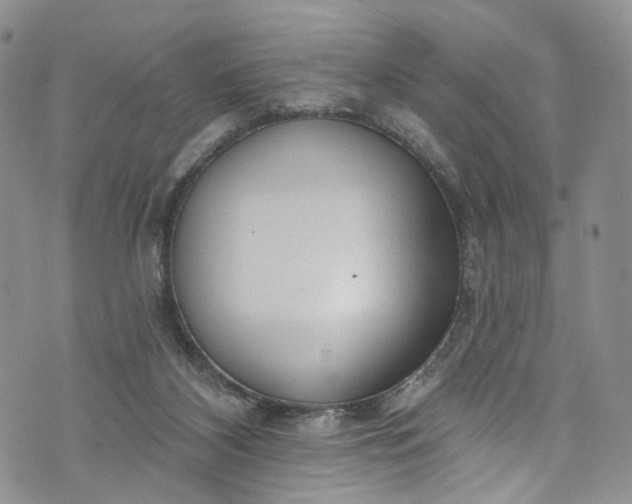 X0000072990116200608041318