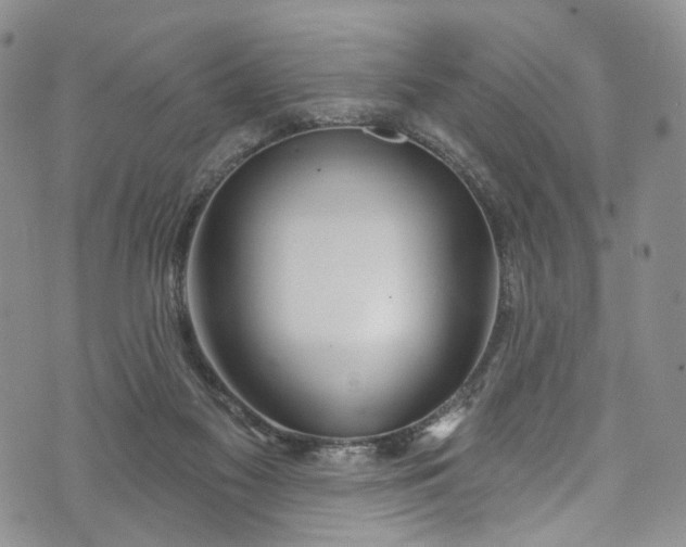 X0000072990117200608041318