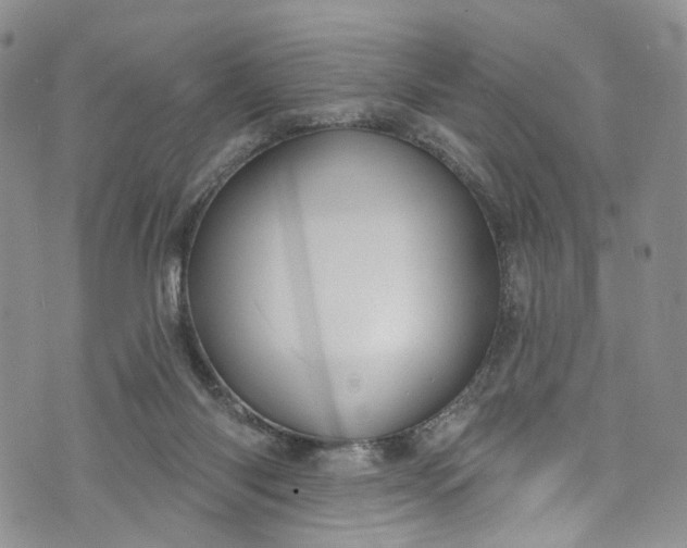 X0000072990118200608041318