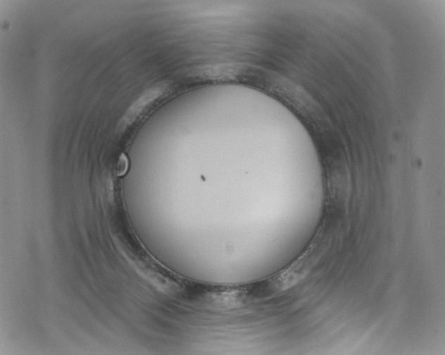 X0000072990120200608041318