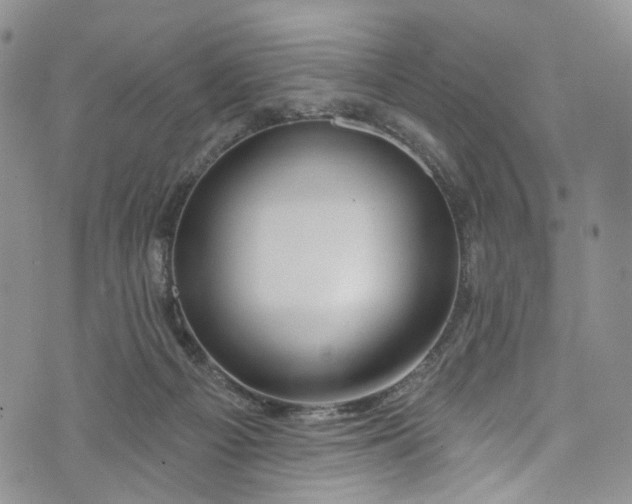 X0000072990121200608041318