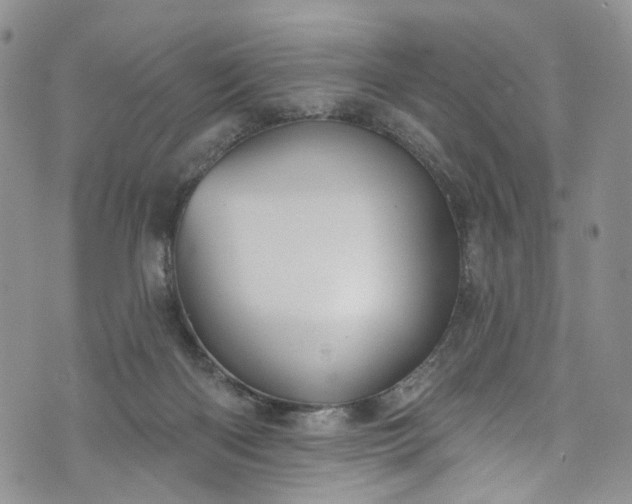 X0000072990122200608041318