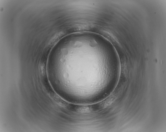 X0000072990123200608041318