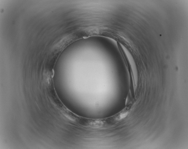 X0000072990125200608041318