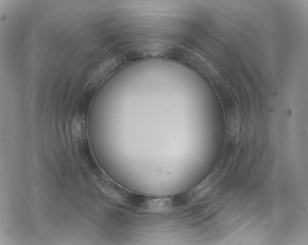 X0000072990126200608041318