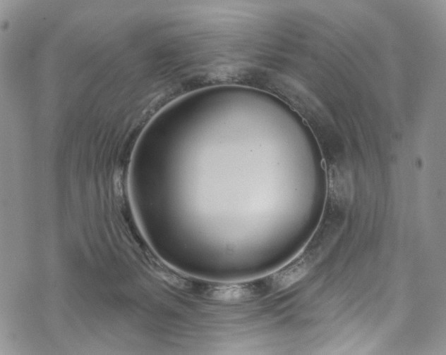 X0000072990127200608041318