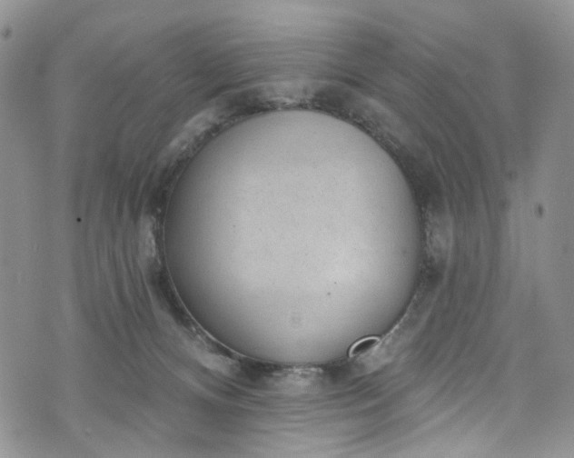 X0000072990128200608041318