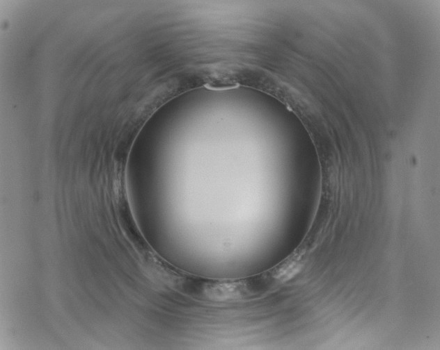 X0000072990129200608041318