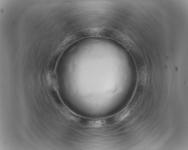 X0000072990131200608041318