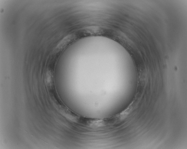 X0000072990132200608041318