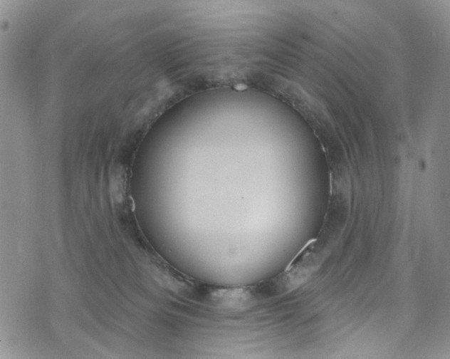 X0000072990133200608041318