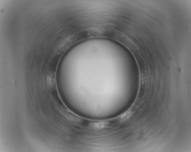 X0000072990134200608041318