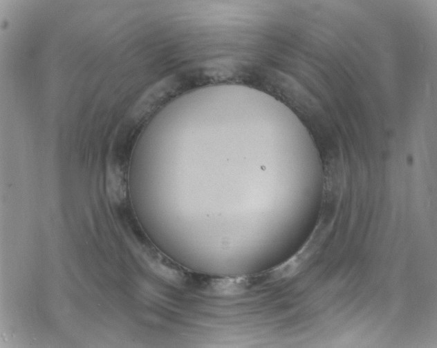 X0000072990136200608041318