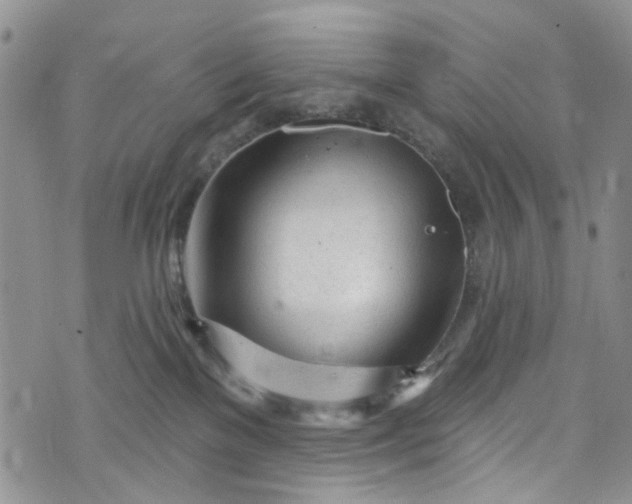 X0000072990137200608041318