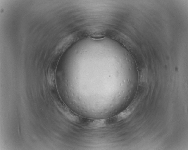 X0000072990138200608041318