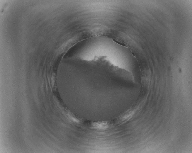 X0000072990139200608041318