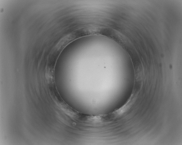 X0000072990140200608041318