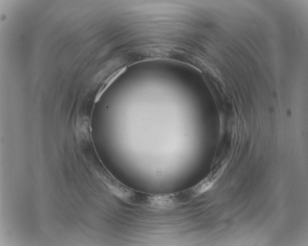 X0000072990141200608041317