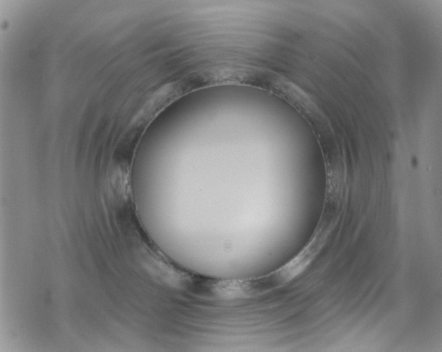 X0000072990142200608041317