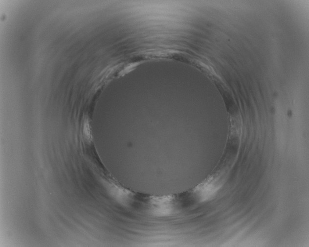 X0000072990143200608041317